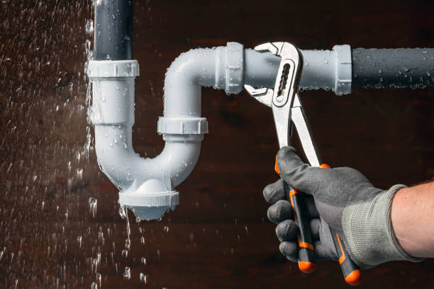 Professional Emergency Plumber technician working in Welch, MN